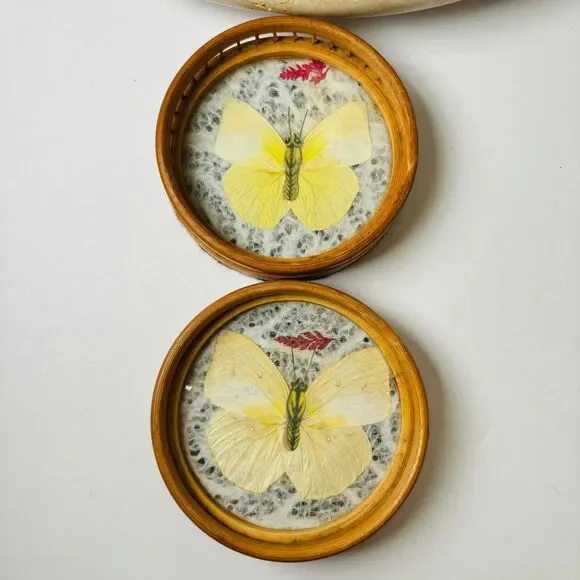 Set 6 Vintage Wood Coasters Pressed Butterflies 1970s Boho Wicker Rattan‎ - Picture 3 of 13